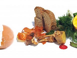 riparte-domani-la-raccolta-dellorganico-a-campobello