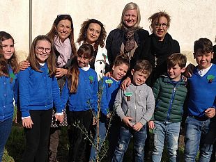 festa-dell-albero-il-comune-dona-ulivi-e-melograni-alle-scuole