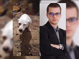 valderice-getta-il-cane-in-mare-con-una-pietra-al-collo-rizzi-chiediamo-il-massimo-della-condanna-e-la-confisca-dellanimale