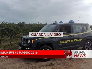 prima-news-9-maggio-seconda-edizione