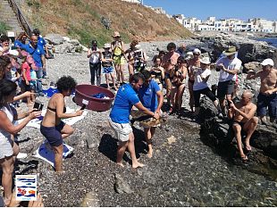 marettimo-celebra-la-giornata-dedicata-alle-tartarughe-marine