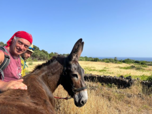 lente-parco-nazionale-isola-di-pantelleria-avvia-percorso-di-formazione-per-interventi-assistiti-con-asini-panteschi