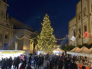 acceso-ieri-sera-lalbero-di-natale-del-sistema-delle-piazze