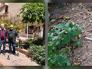 mazara-area-verde-comunale-di-via-ingraldo-necessarie-manutenzione-e-controllo