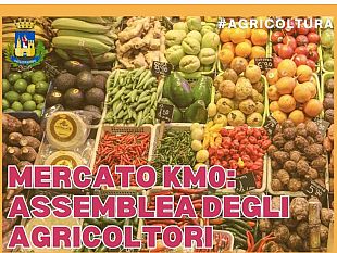 mazara-incontro-tra-operatori-del-comparto-agricolo-e-amministrazione-comunale