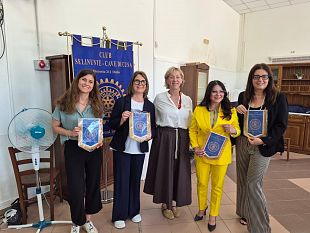 il-club-inner-wheel-selinunte-cave-di-cusa-ha-organizzato-un-convegno-sul-tema-della-violenza-di-genere