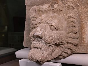 castelvetrano/parco-archeologico-di-selinunte-ritrovata-una-sima-raffigurante-una-testa-di-leone