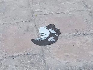 mazara-nuovamente-vandalizzato-il-murales-dedicato-a-denise-pipitone-e-collocato-in-piazza-della-repubblica