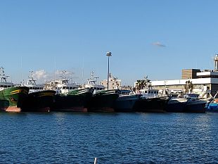 pesca-mazara-incontro-fra-i-rappresentanti-dellarmamento-ed-il-com-arena