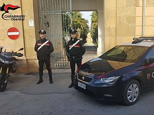 mazara-cavallo-di-ritorno-in-manette-44enne