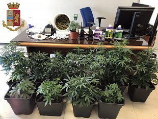 mazara/arresto-in-flagranza-di-due-cittadini-mazaresi-per-coltivazione-e-produzione-di-marijuana