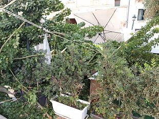 trapani-cede-uneritrina-danneggiata-attivita-di-ristorazione