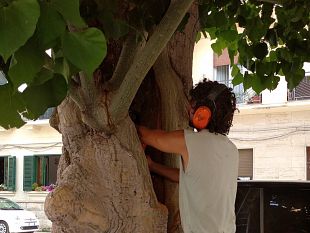 trapani-in-corso-intervento-a-tutela-delle-eritrine