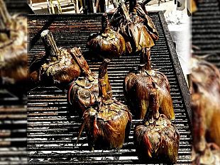 ultime-della-sera-la-scampagnata-di-pasquetta