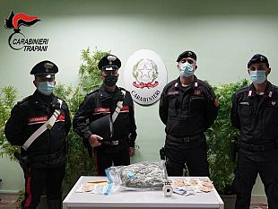 castelvetrano/castelvetrano-1-kg-di-droga-piante-e-soldi-in-contanti-2-arresti