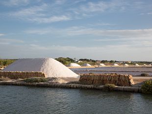 vini-fortificati-deuropa-a-marsala-si-guarda-al-futuro