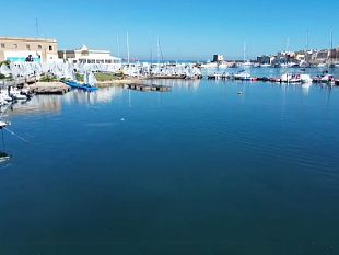 vela-i-talenti-delloptimist-brillano-a-trapani-tra-vento-e-giovani-promesse