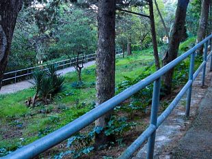 valderice-al-via-pulizia-nella-pineta-comunale