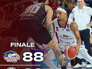 trapani-gli-shark-sfiorano-limpresa