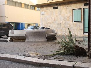 piante-sradicate-in-largo-figurella-o-tempora-o-mores