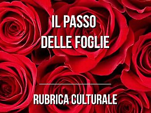 poesia-ancora-un-altra-carezza-di-enzo-catania-il-passo-delle-foglie