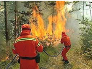 chiusa-la-strada-di-martogna-ad-erice-i-canadair-intervengono-per-un-incendio