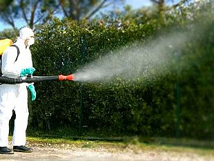 marsala-interventi-di-disinfestazione-in-citta