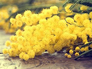 8-marzo-le-iniziative-della-commissione-pari-opportunita-di-trapani