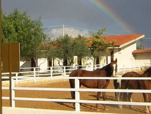 laias-plaude-alla-proposta-accolta-dallamministrazione-comunale-del-nuovo-piano-di-emergenza