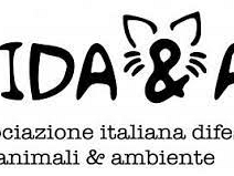 salemi-cane-impiccato-allinterno-di-un-pozzo-interviene-laidaa