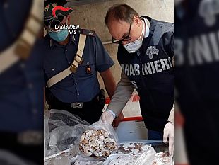 mazara/rafforzati-i-controlli-dei-nas-nel-campo-della-ristorazione