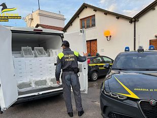 maxi-sequestro-di-2-tonnellate-di-novellame-di-sarda-sanzioni-fino-a-75000-euro