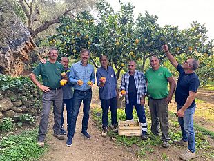 agrigento-e-la-costa-del-medit