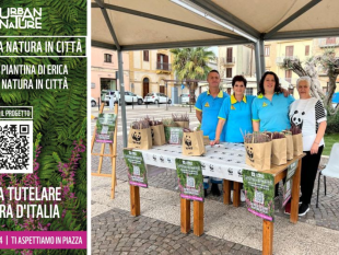 partanna-wwf-festa-della-natura-in-citta-la-misericordia-di-partanna-in-piazza-per-lambiente