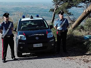 carabinieri-arrestano-impiegato-stagionale-della-forestale-sorpreso-a-rubare-legna-destinata-alla-vendita