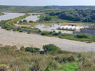 allagamento-area-fiume-delia-interrogativi-sul-depuratore-comunale