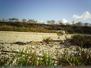 le-saline-di-trapani-e-paceco-su-rai-3-nello-speciale-wwf-oasi-per-il-pianeta
