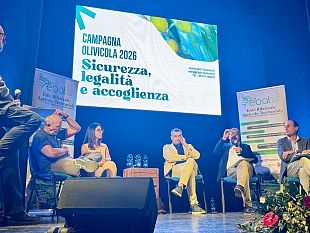 campobello-di-mazara-braccianti-stranieri-dalla-stagione-degli-accampamenti-alla-sfida-dellaccoglienza