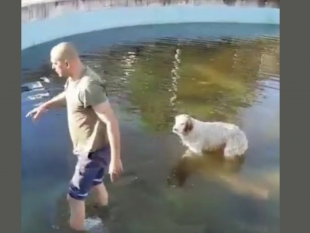 salemi-operatori-ecologici-salvano-un-cane-intrappolato