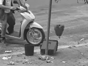 erice-contrasto-allabbandono-di-rifiuti-58-sanzionati-e-5-denunciati-con-sequestro-di-3-mezzi