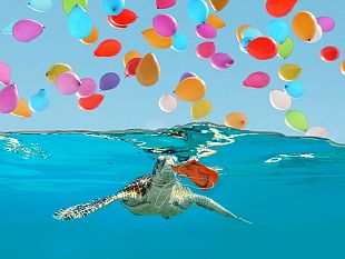 stop-allutilizzo-ed-abbandono-di-nastri-colorati-e-palloncini