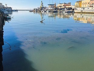 diventera-bellissima-finisce-lera-della-speculazione-politica-sul-porto-canale