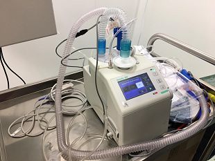 raccolta-fondi-consegnati-allospedale-abele-ajello-due-ventilatori-polmonari