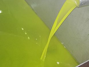 non-e-tutto-olio-quello-che-luccica