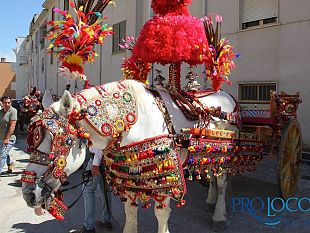 vita-tutto-pronto-per-la-festa-della-madonna-di-tagliavia-il-2-giugno-si-rinnova-il-rito-religioso-popolare