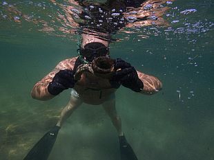 marausa-in-fondo-al-mare-numerosi-frammenti-di-anfore-si-tratta-di-una-nave-oneraria