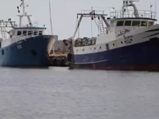 guerra-del-pesce-fai-flai-e-uila-pesca-serve-governance-nel-mediterraneo