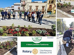 rotary-club-partanna-piantumazione-e-sistemazione-aiuola-in-piazza-falcone-e-borsellino