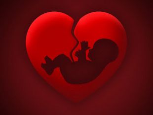 la-liberta-e-un-dovere-prima-che-un-diritto