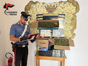 mazara/petrosino-scoperta-piantagione-di-cannabis-in-una-serra-arrestato-50enne-marsalese